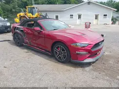 1FATP8UH2K5204642 2019 FORD MUSTANG
