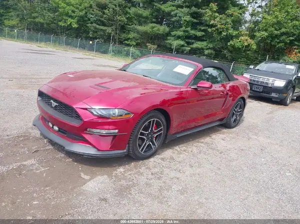 1FATP8UH2K5204642 2019 FORD MUSTANG - Image 2