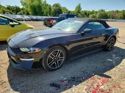 1FATP8UH2M5116726 2021 FORD MUSTANG