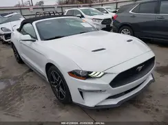 1FATP8UH2M5124597 2021 FORD MUSTANG