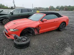 1FATP8UH2N5100513 2022 FORD MUSTANG