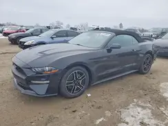 1FATP8UH2P5111062 2023 FORD MUSTANG