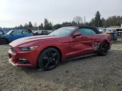 1FATP8UH3G5304157 2016 FORD MUSTANG