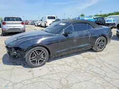 1FATP8UH3J5109554 2018 FORD MUSTANG