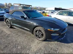 1FATP8UH3J5143624 2018 FORD MUSTANG