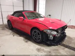 1FATP8UH3K5104436 2019 FORD MUSTANG