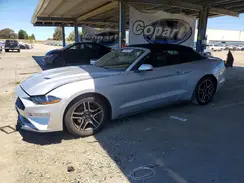 1FATP8UH3K5109250 2019 FORD MUSTANG