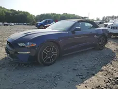 1FATP8UH3K5109880 2019 FORD MUSTANG