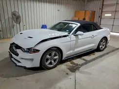 1FATP8UH3K5111984 2019 FORD MUSTANG