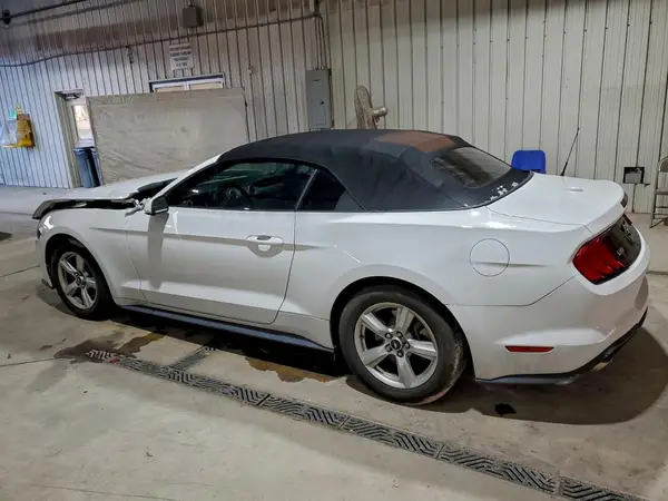 1FATP8UH3K5111984 2019 FORD MUSTANG - Image 2