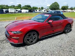 1FATP8UH3K5116263 2019 FORD MUSTANG