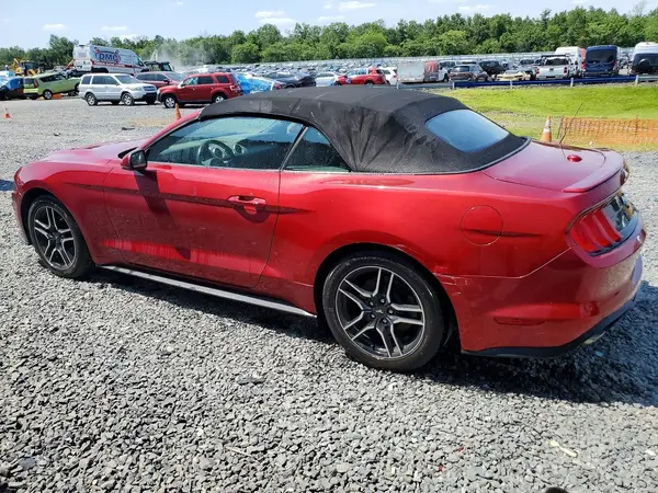 1FATP8UH3K5116263 2019 FORD MUSTANG - Image 2
