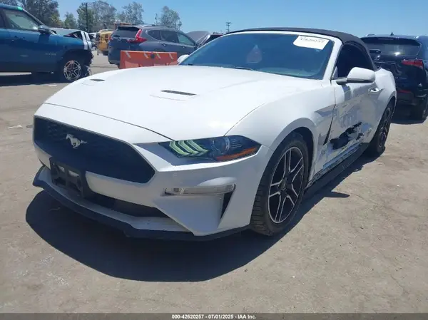 1FATP8UH3K5131488 2019 FORD MUSTANG - Image 2