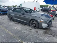 1FATP8UH3K5138747 2019 FORD MUSTANG