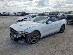 1FATP8UH3K5149053 2019 FORD MUSTANG