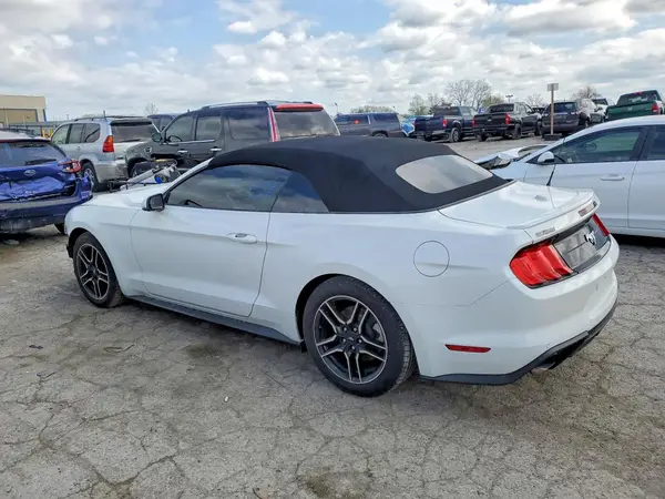 1FATP8UH3K5149053 2019 FORD MUSTANG - Image 2