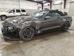 1FATP8UH3K5149344 2019 FORD MUSTANG