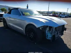 1FATP8UH3K5158612 2019 FORD MUSTANG