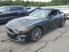 1FATP8UH3K5159162 2019 FORD MUSTANG