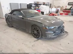 1FATP8UH3K5159257 2019 FORD MUSTANG