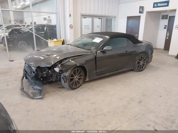 1FATP8UH3K5159257 2019 FORD MUSTANG - Image 2