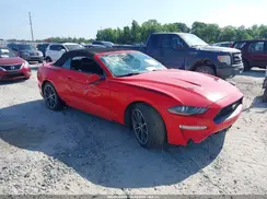 1FATP8UH3K5159551 2019 FORD MUSTANG