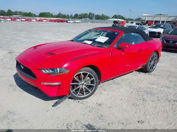 1FATP8UH3K5159551 2019 FORD MUSTANG - Image 2