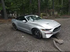 1FATP8UH3K5159713 2019 FORD MUSTANG