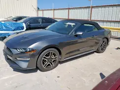 1FATP8UH3K5181596 2019 FORD MUSTANG