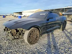 1FATP8UH3K5181646 2019 FORD MUSTANG
