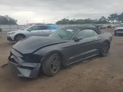 1FATP8UH3K5181663 2019 FORD MUSTANG