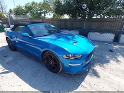 1FATP8UH3K5187687 2019 FORD MUSTANG