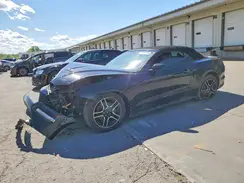 1FATP8UH3K5188404 2019 FORD MUSTANG