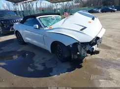 1FATP8UH3M5107002 2021 FORD MUSTANG