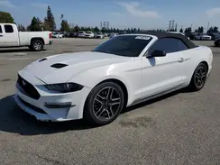 1FATP8UH3M5124592 2021 FORD MUSTANG
