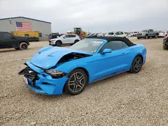1FATP8UH3P5100457 2023 FORD MUSTANG