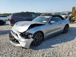 1FATP8UH3P5105366 2023 FORD MUSTANG