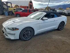 1FATP8UH3P5111152 2023 FORD MUSTANG
