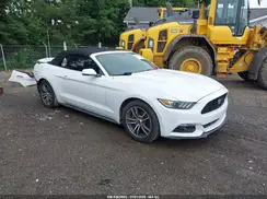 1FATP8UH4H5204358 2017 FORD MUSTANG