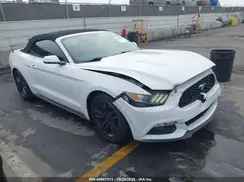 1FATP8UH4H5218146 2017 FORD MUSTANG