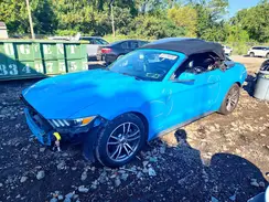 1FATP8UH4H5258324 2017 FORD MUSTANG