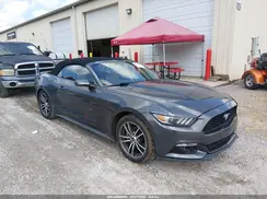 1FATP8UH4H5258338 2017 FORD MUSTANG