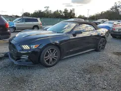 1FATP8UH4H5294983 2017 FORD MUSTANG