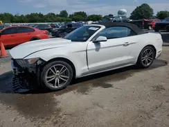 1FATP8UH4H5303150 2017 FORD MUSTANG