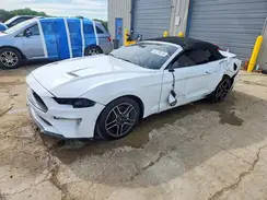 1FATP8UH4K5104378 2019 FORD MUSTANG