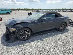 1FATP8UH4K5115655 2019 FORD MUSTANG
