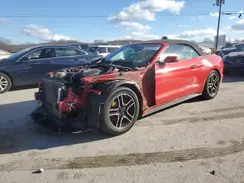1FATP8UH4K5126140 2019 FORD MUSTANG