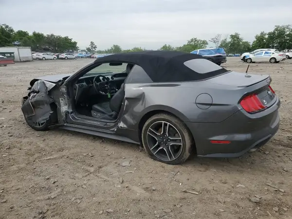 1FATP8UH4K5131239 2019 FORD MUSTANG - Image 2