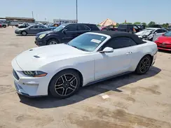 1FATP8UH4K5131497 2019 FORD MUSTANG