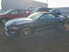 1FATP8UH4K5149692 2019 FORD MUSTANG